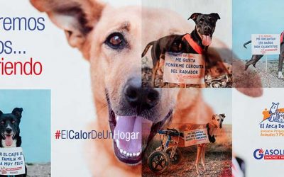 El Calor De Un Hogar