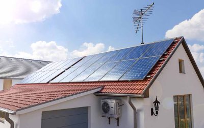 Iniciamos Línea de Negocio en el Campo Solar
