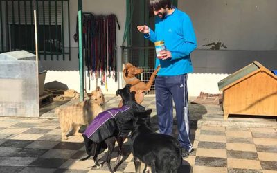 La vida en el Albergue
