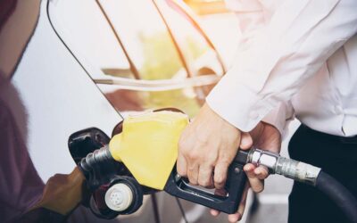 La Plataforma solicita a la ministra Sara Aagesen impulsar el potencial de los combustibles renovables