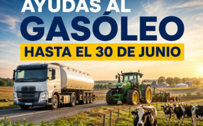 La reducción de impuestos en el gasóleo hasta el 30 de junio